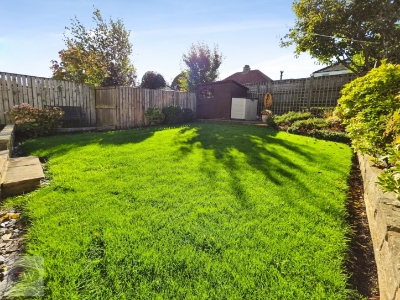 Picture 28